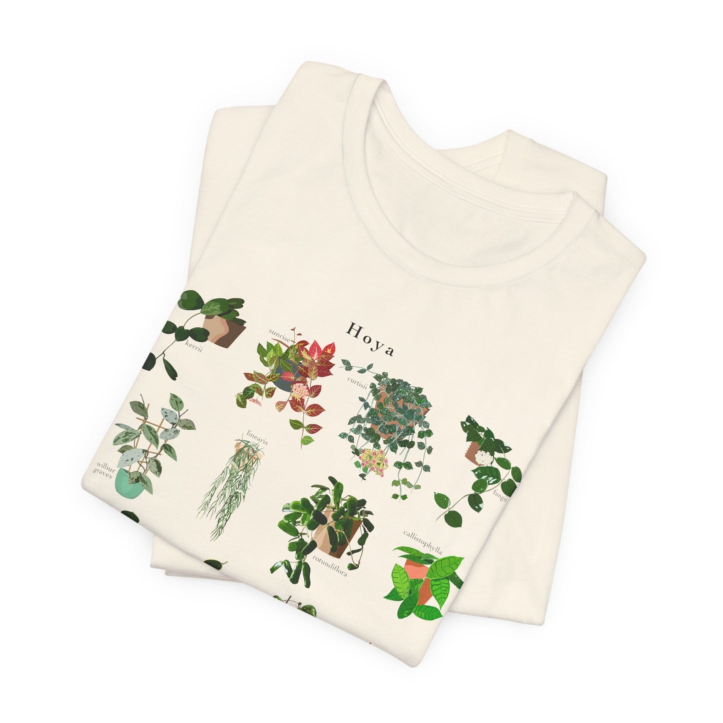 Hoya Chart T-Shirt for Plant Lovers - White, Natural