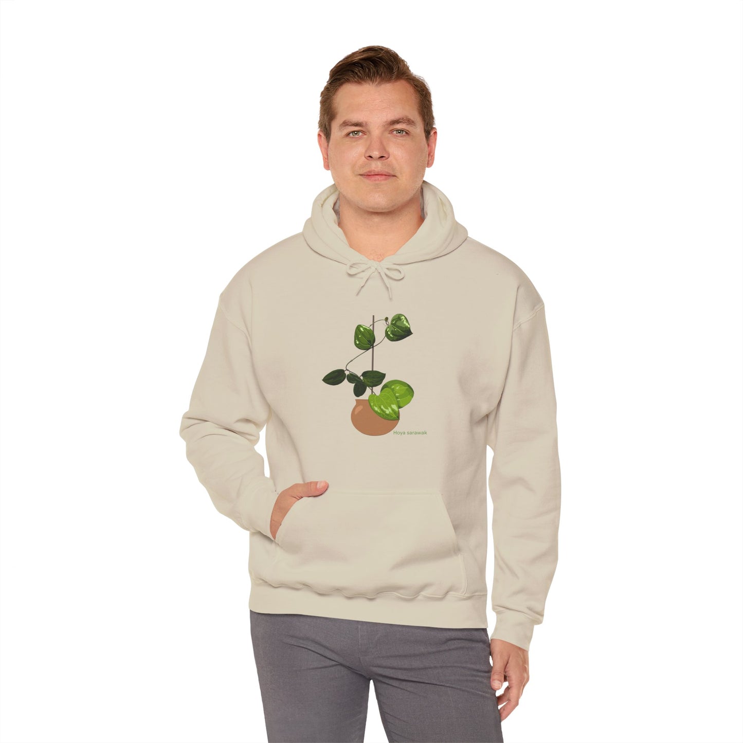 Hoya Sarawak Plant Hoodie