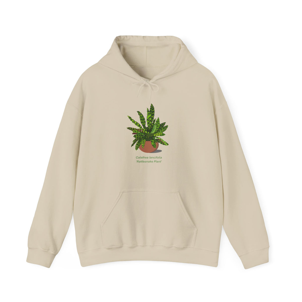 Calathea Lancifolia Rattlesnake Plant Hoodie