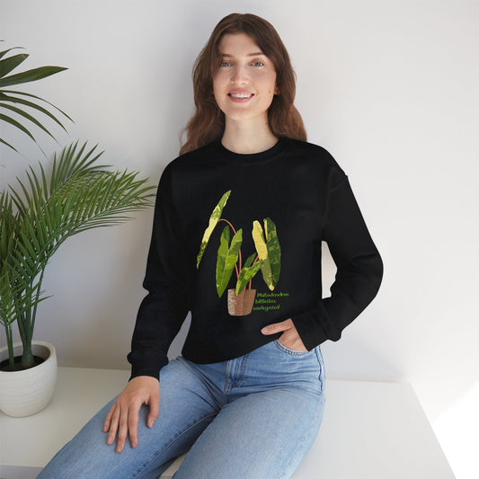 Philodendron Billietiae Variegated Plant Lover Crewneck Sweatshirt - Black