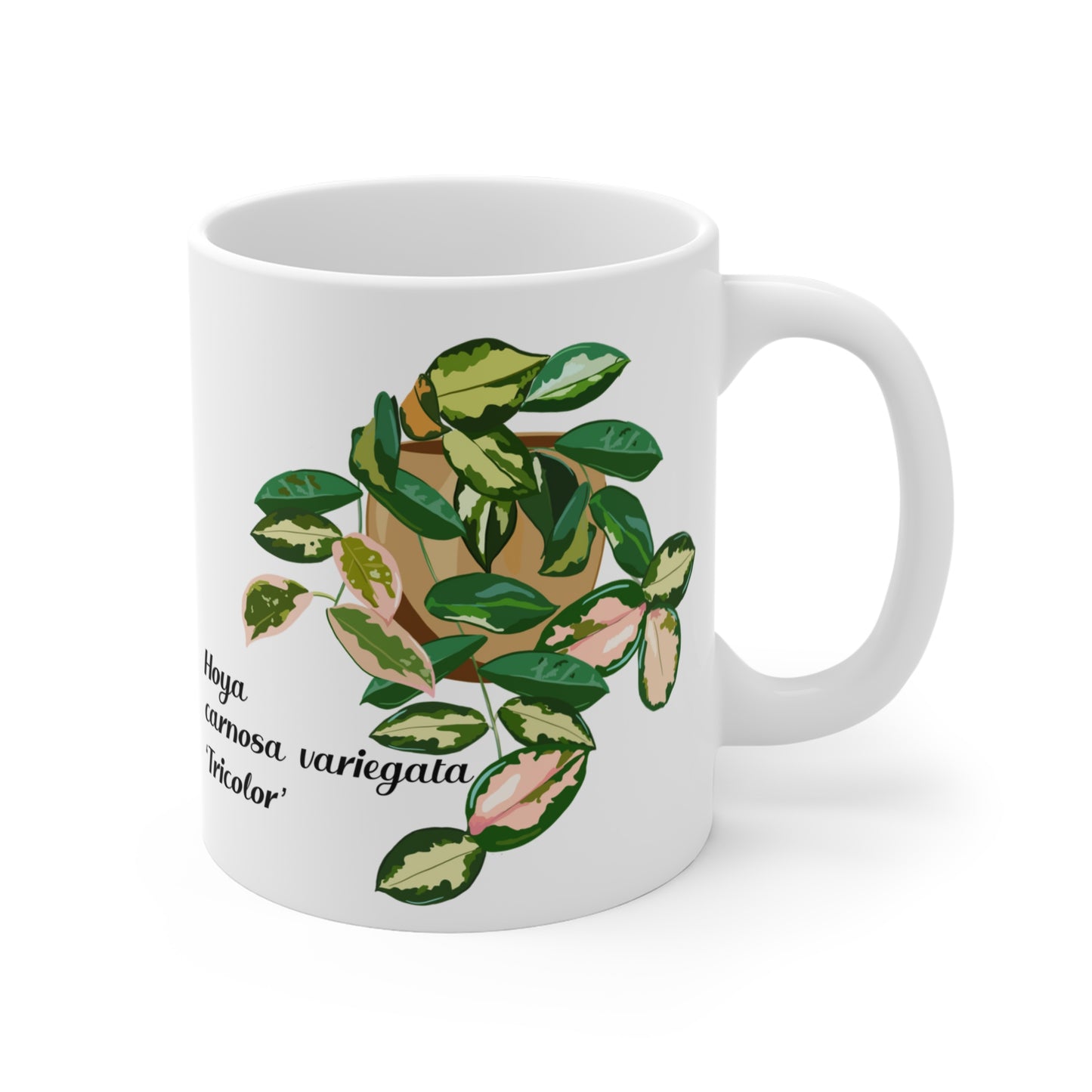 Hoya Carnosa Variegata Tricolor Plant Lover Mug - White