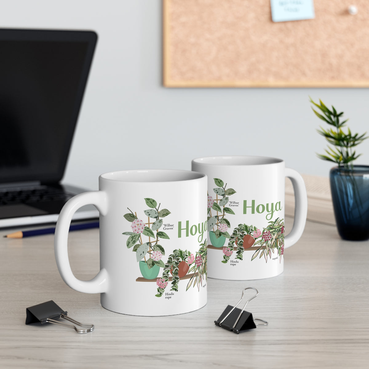 Hoya Hindu Rope, Carnosa, & Wayetii Trio Plant Lover Mug - White
