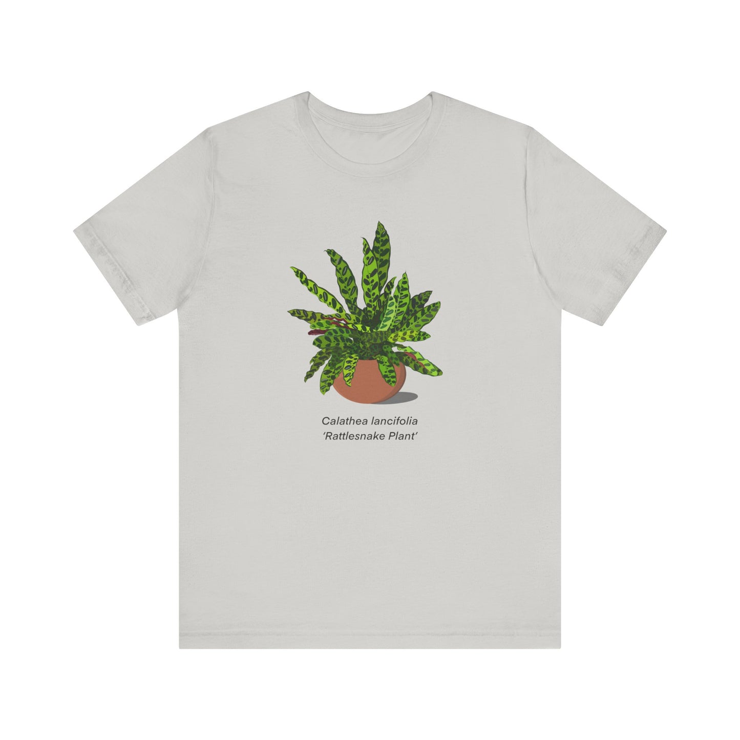 Calathea Lancifolia Rattlesnake Plant Lover T-Shirt - Silver