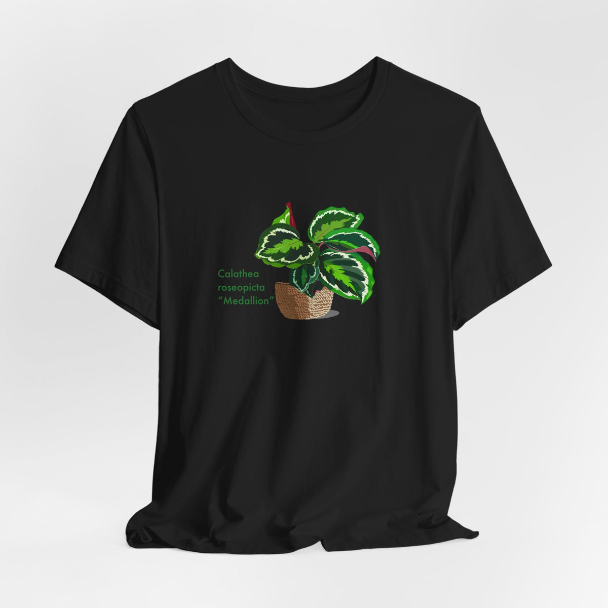 Calathea Roseopicta "Medallion" Plant Lover T-Shirt - White, Natural, Black