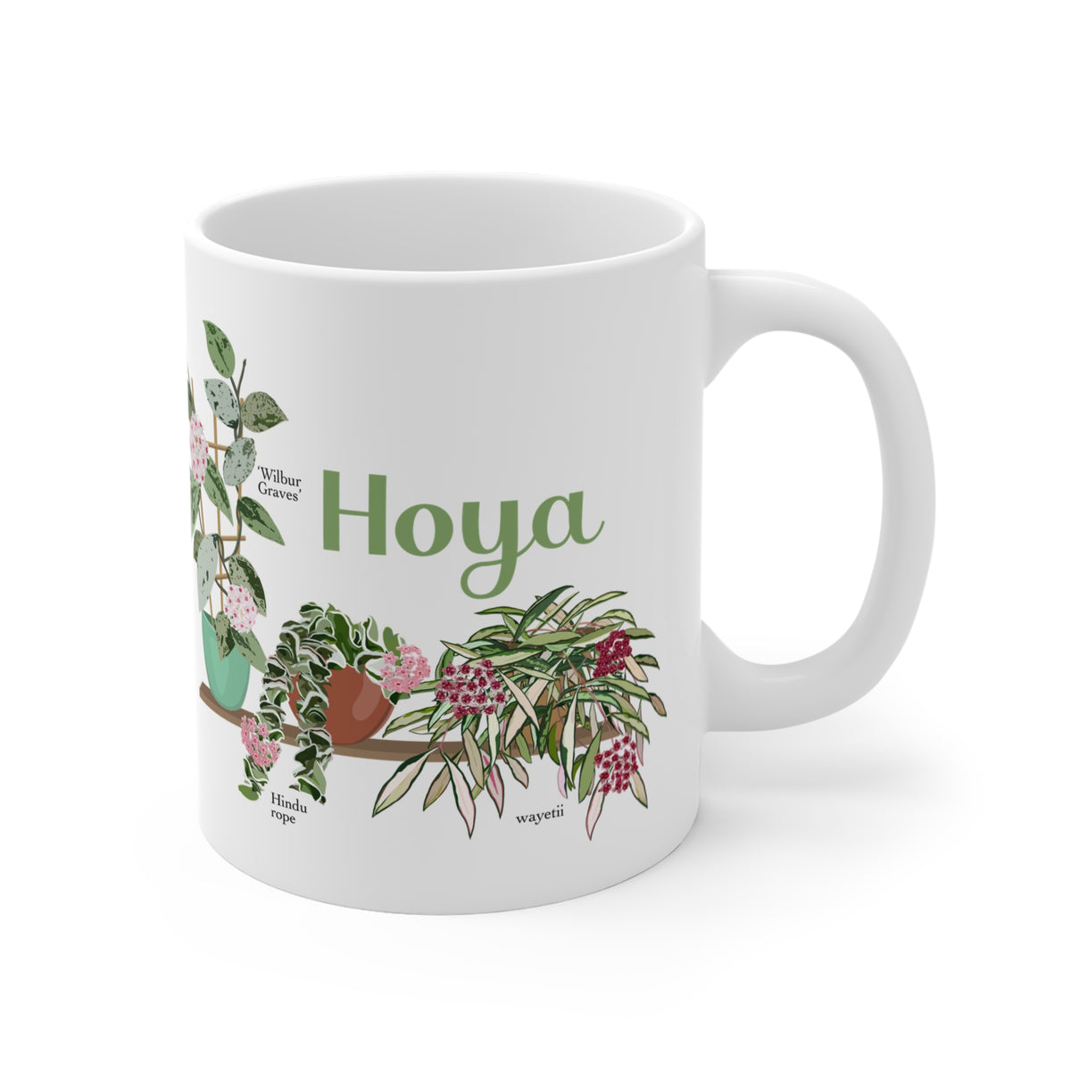 Hoya Hindu Rope, Carnosa, & Wayetii Trio Plant Lover Mug - White