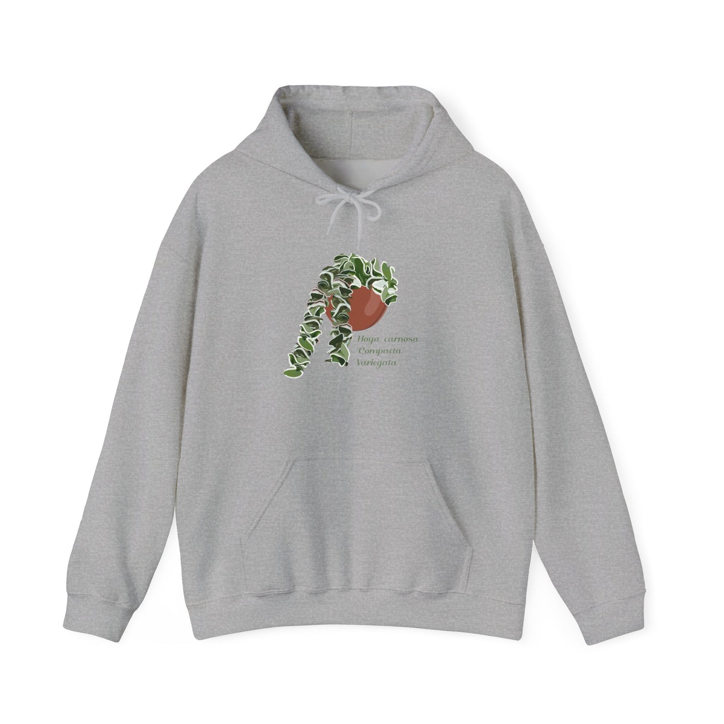 Hoya Carnosa 'Compacta Variegata' Hindu Rope Hoodie
