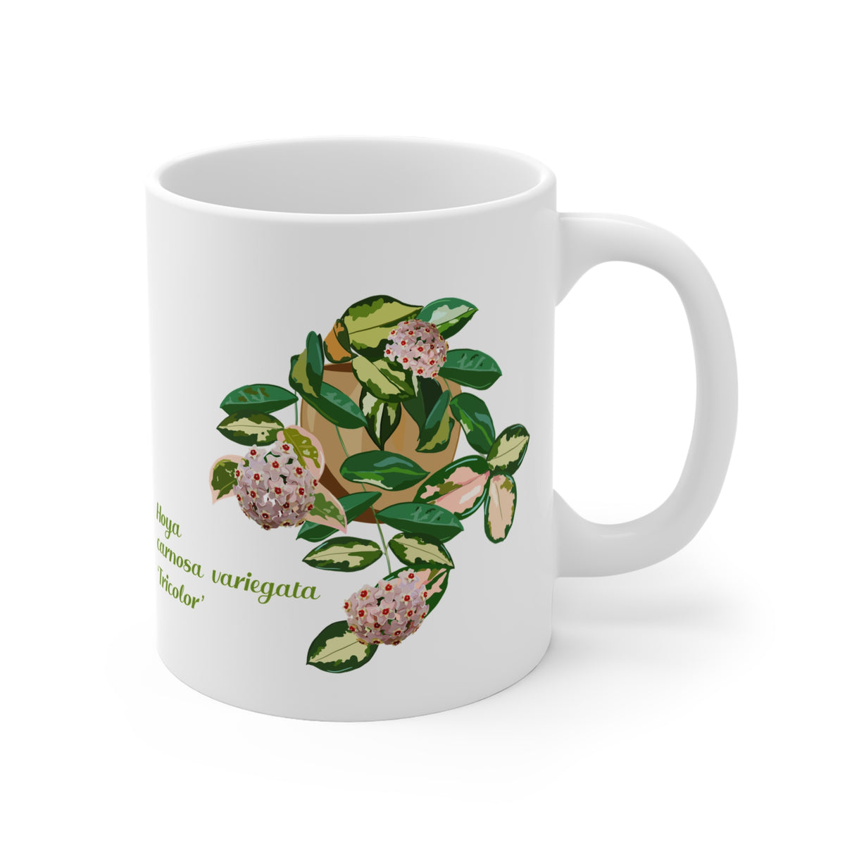 Blooming Hoya Carnosa Variegata 'Tricolor'  Plant Lover Mug - White