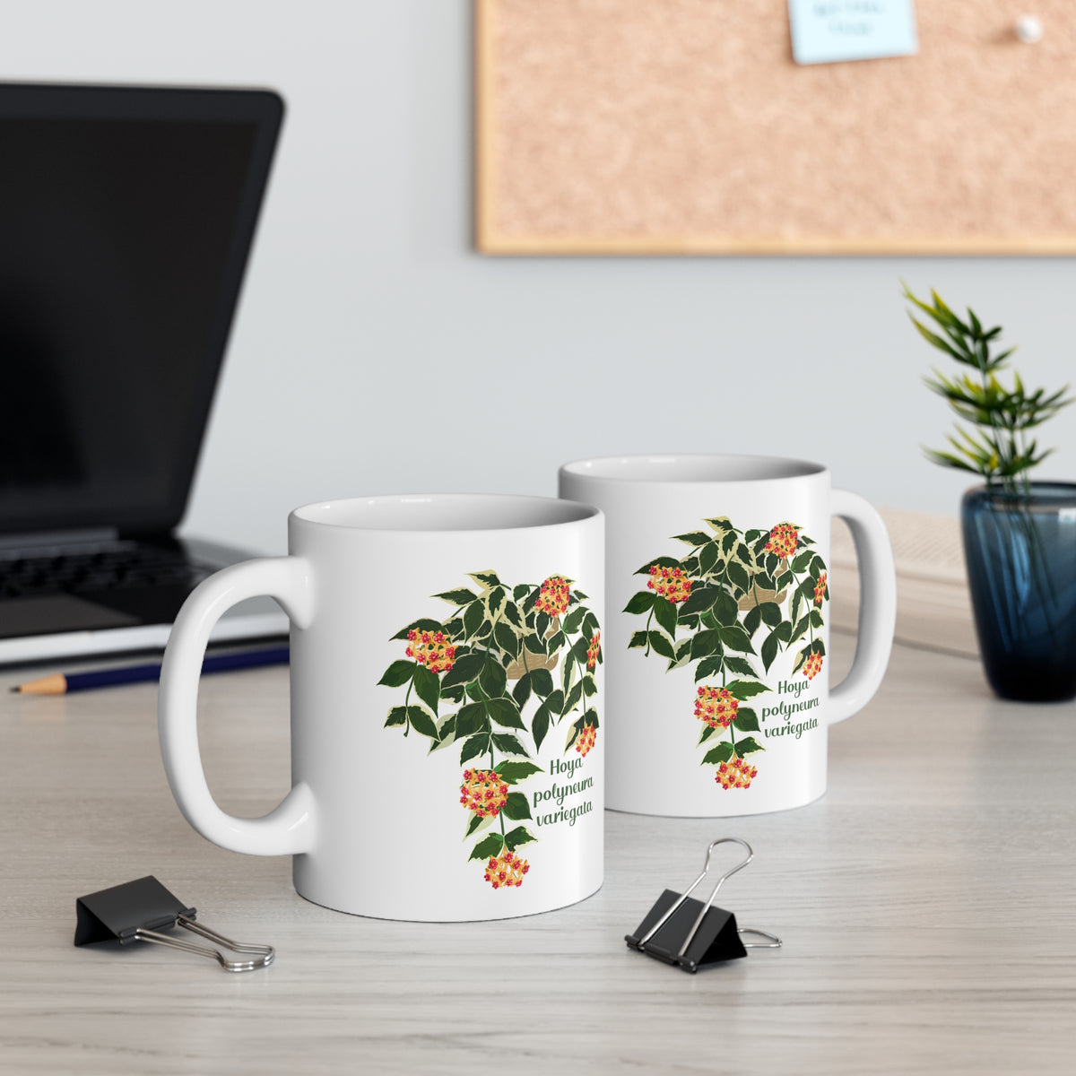 Blooming Hoya Polyneura Variegata Plant Lover Mug - White