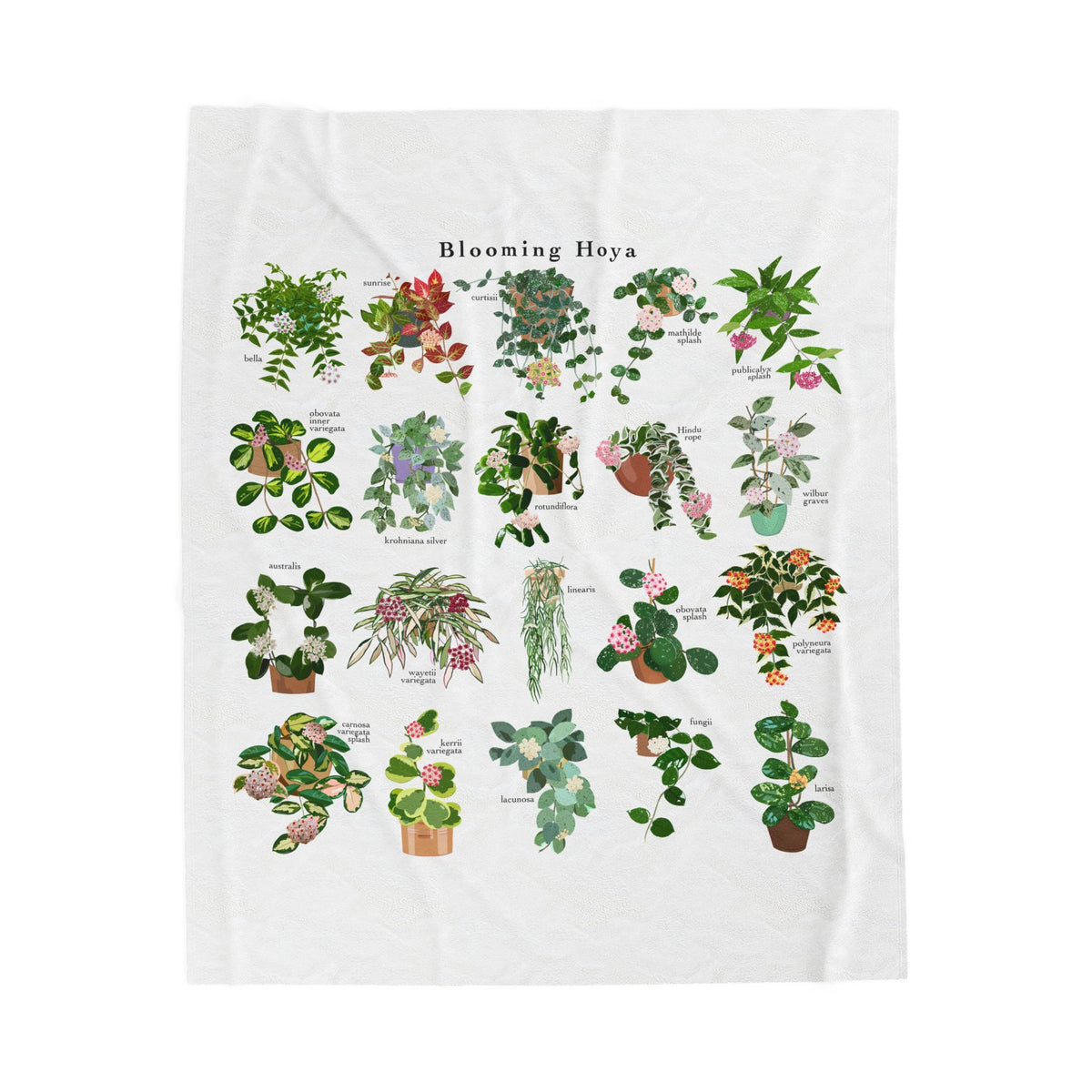 Blooming Hoya Chart Plant Lover Cozy Plush Blanket