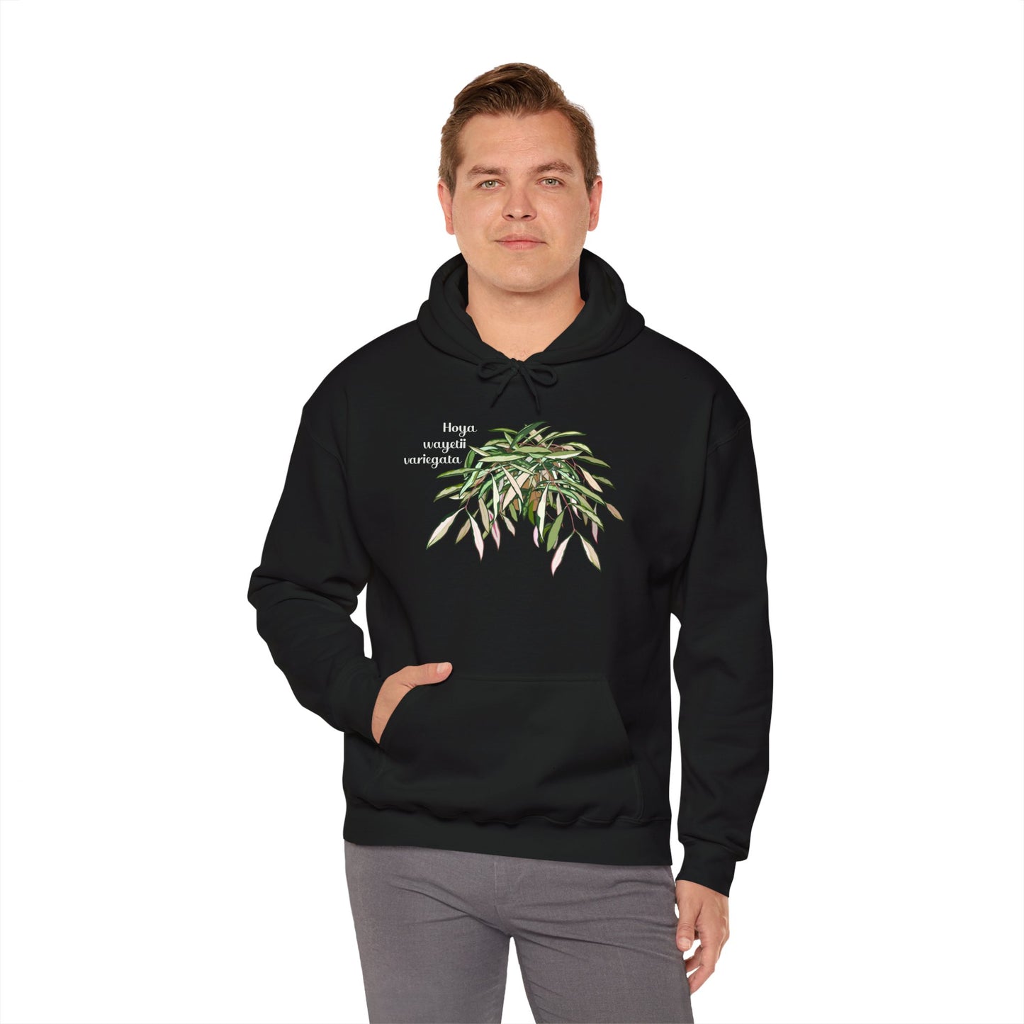 Hoya Wayetii Variegata Plant Hoodie - Black