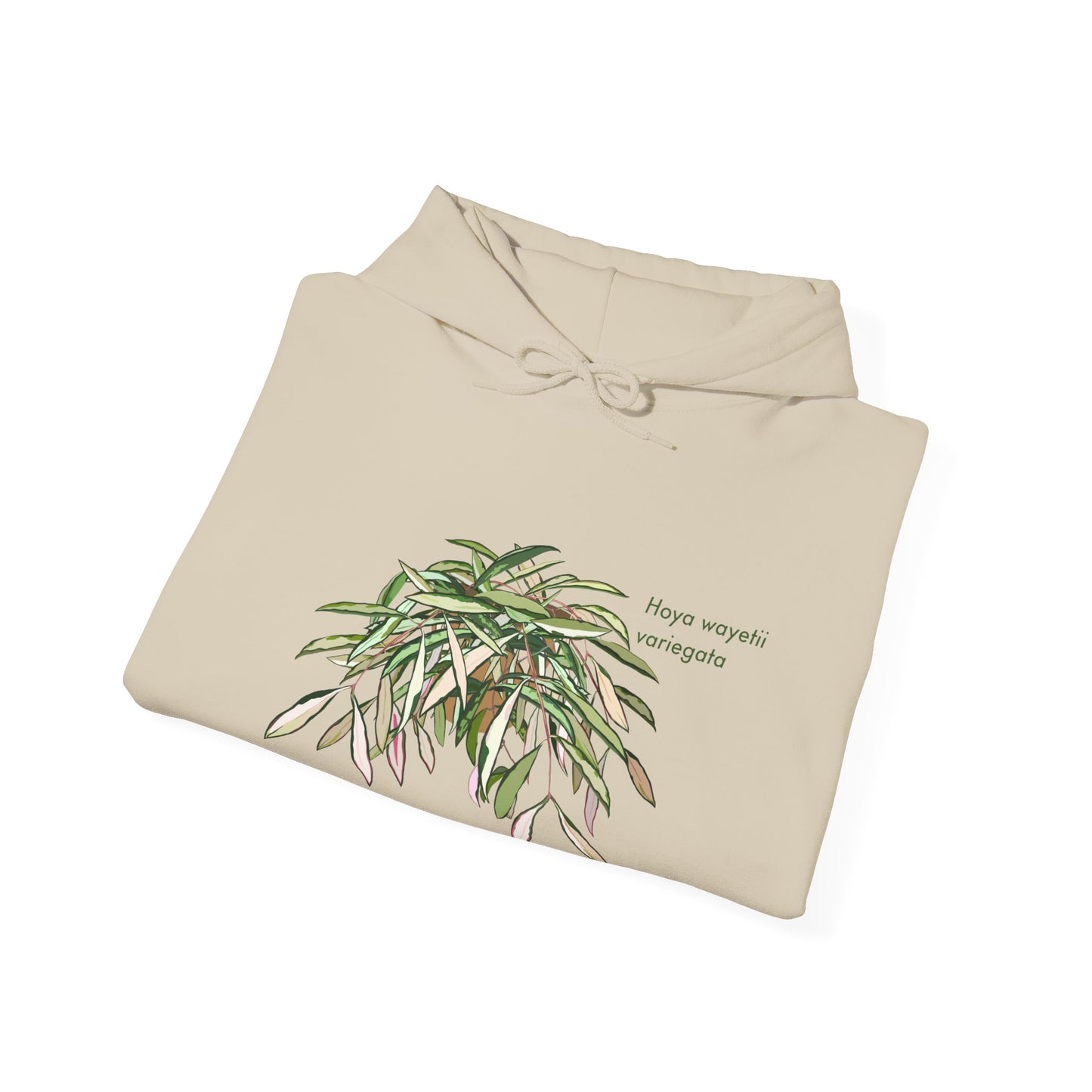 Hoya Wayetii Variegata Plant Hoodie