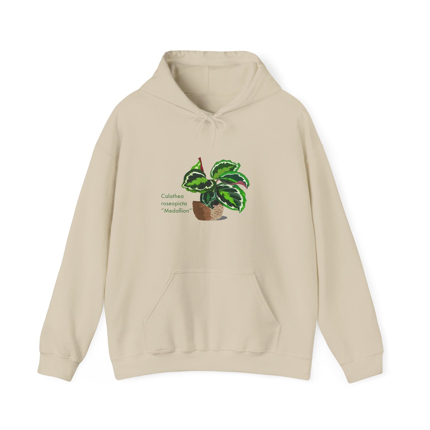 Calathea Roseopicta 'Medallion' Plant Hoodie