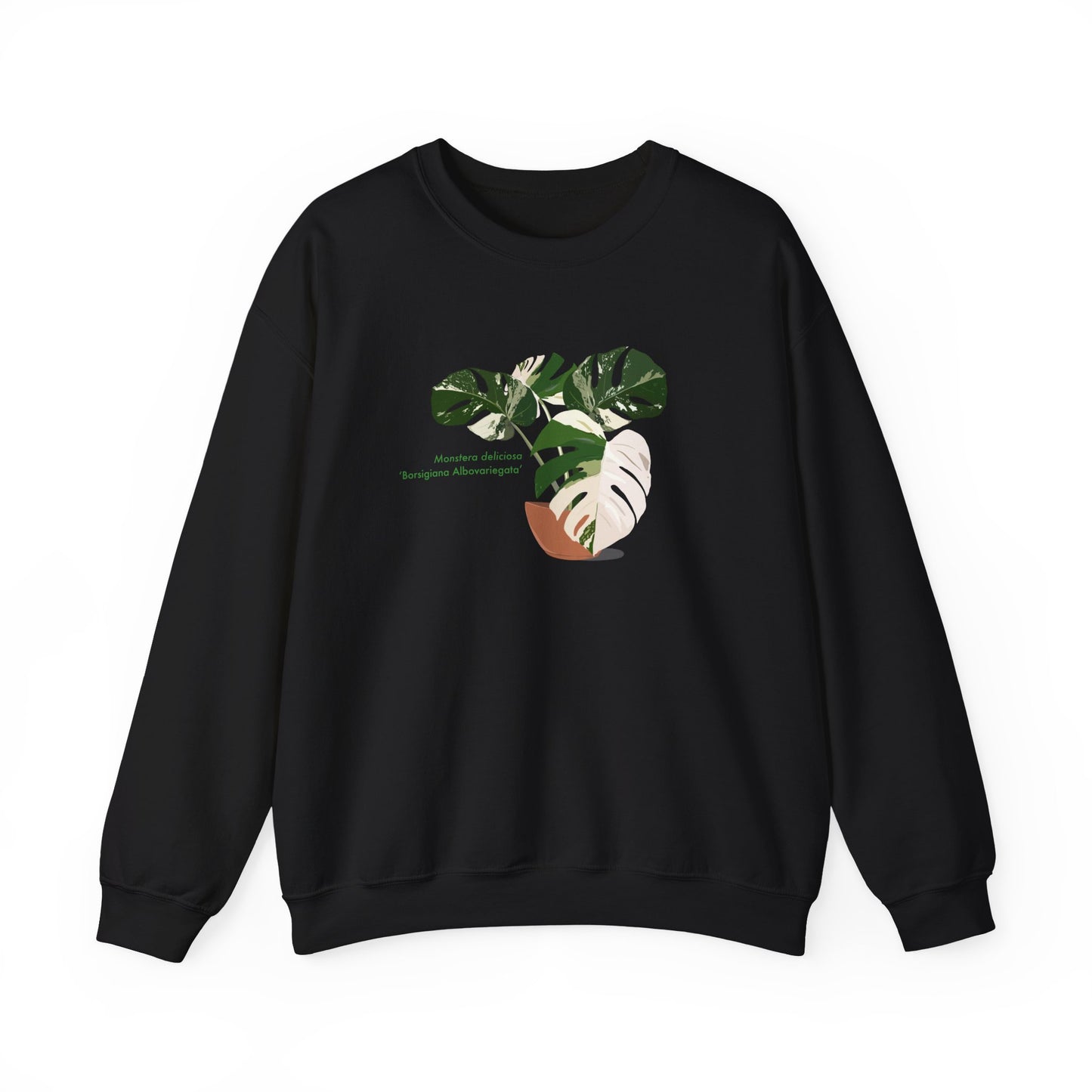 Monstera Deliciosa Borsigiana Albovariegata Plant Lover Crewneck Sweatshirt
