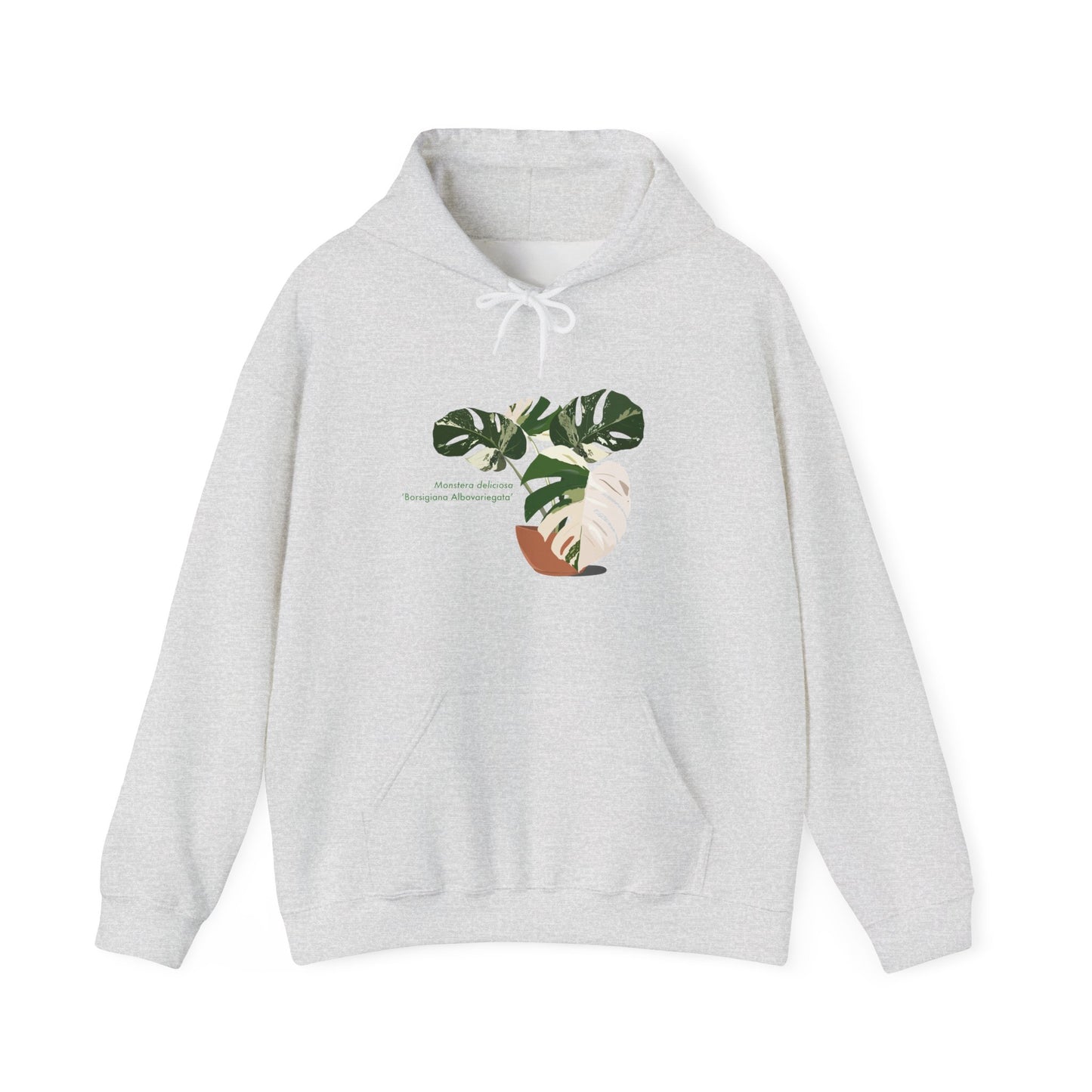 Monstera Deliciosa Borsigiana Albovariegata Hoodie