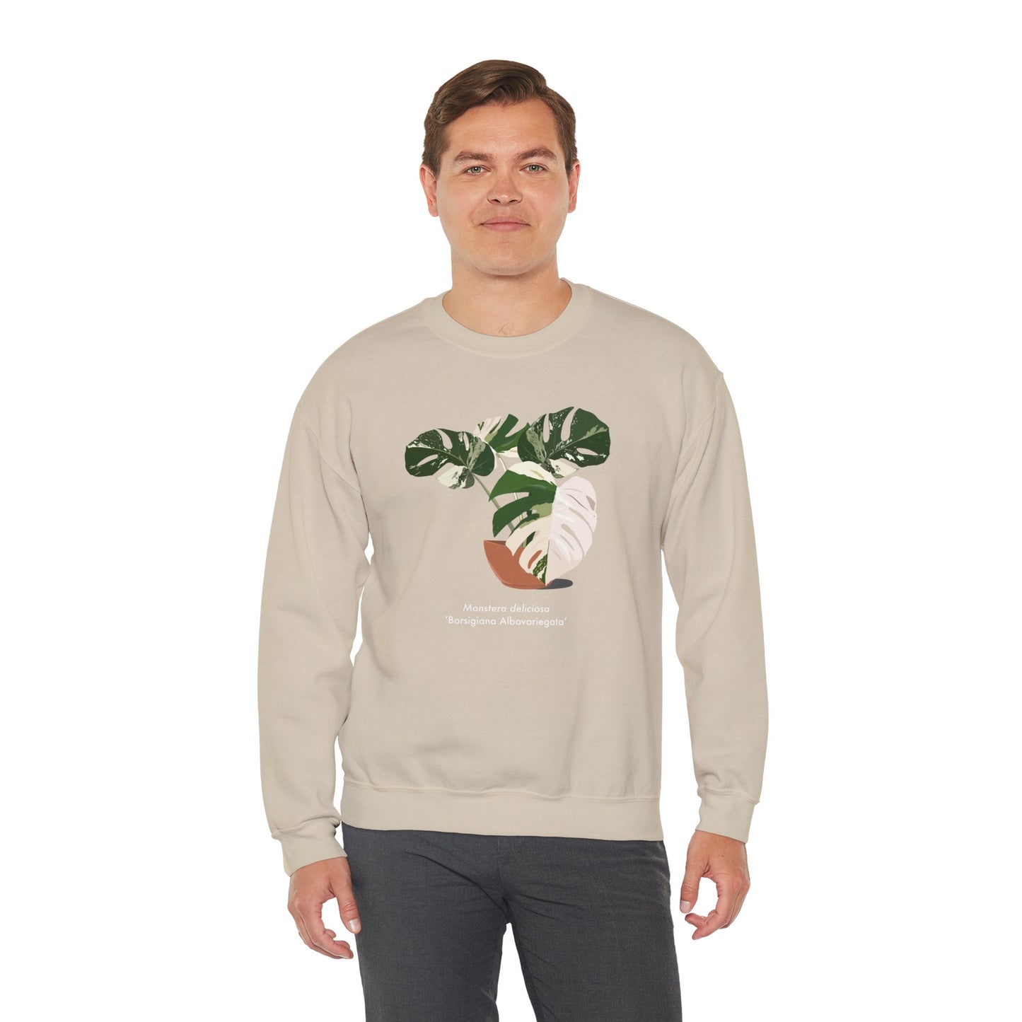 Monstera Deliciosa Borsigiana Albovariegata Plant Lover Crewneck Sweatshirt - Beige