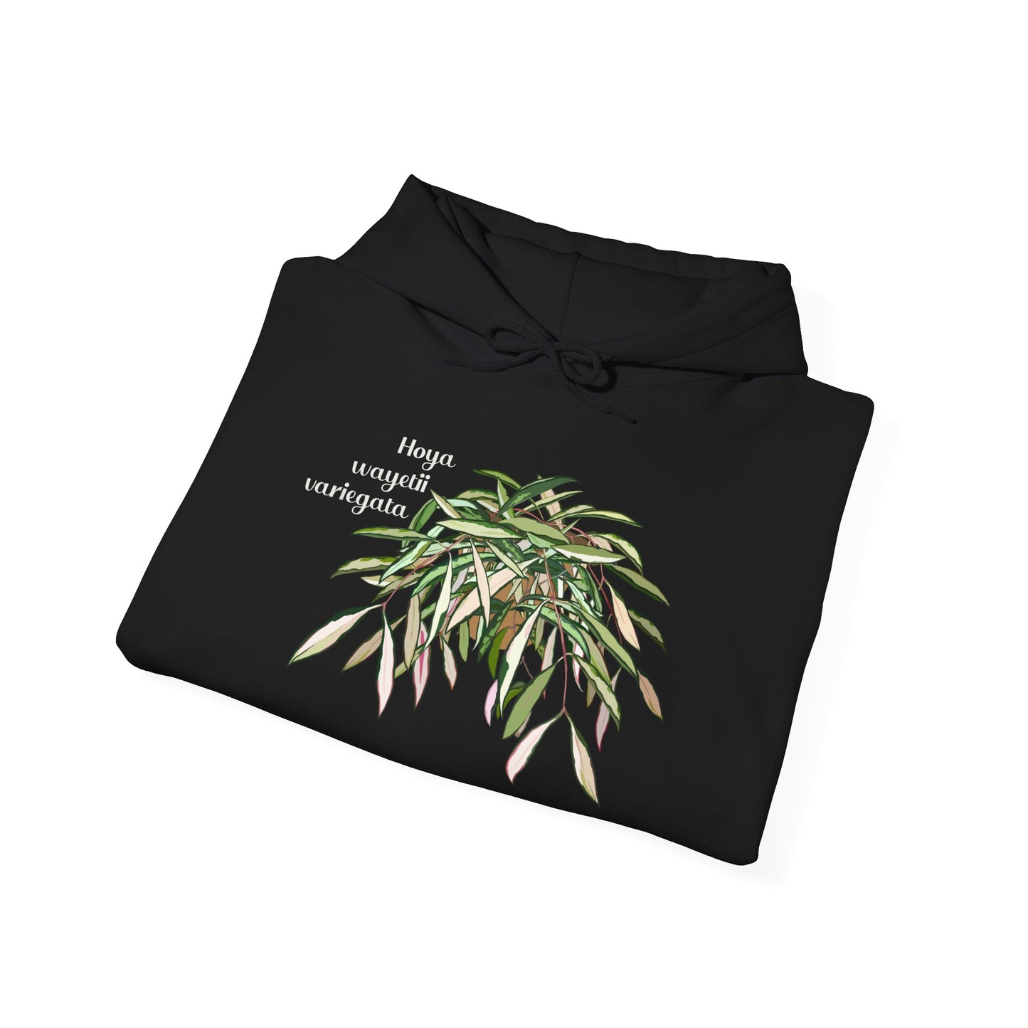 Hoya Wayetii Variegata Plant Hoodie - Black