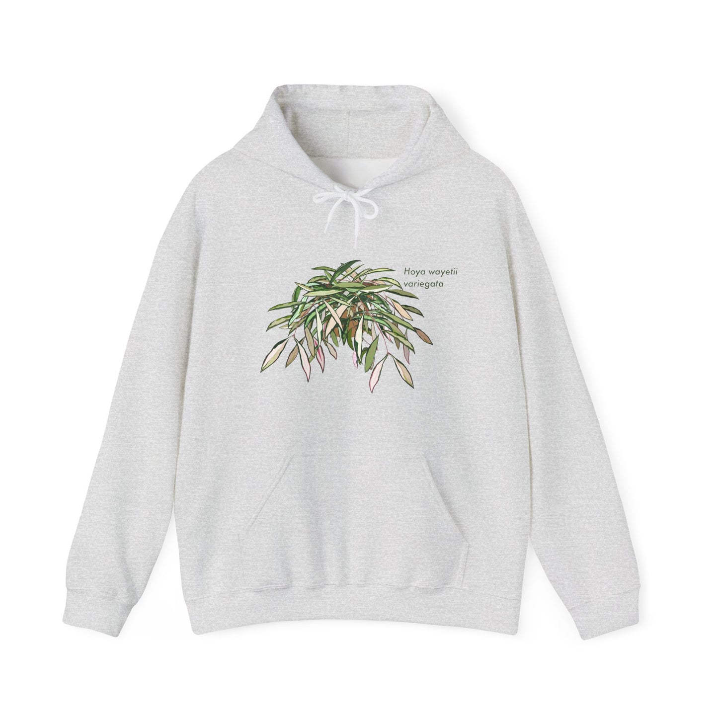 Hoya Wayetii Variegata Plant Hoodie