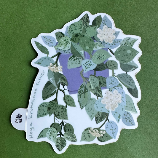 Hoya Krohniana Silver Plant Lover Sticker