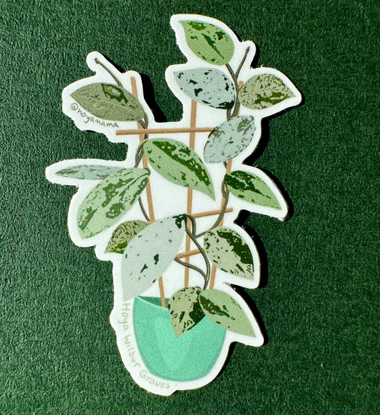 Hoya Carnosa Wilbur Graves Plant Lover Sticker