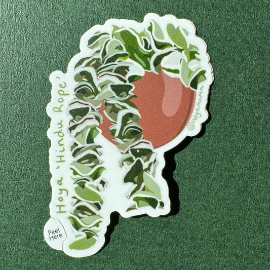 Hoya Hindu Rope Plant Lover Sticker