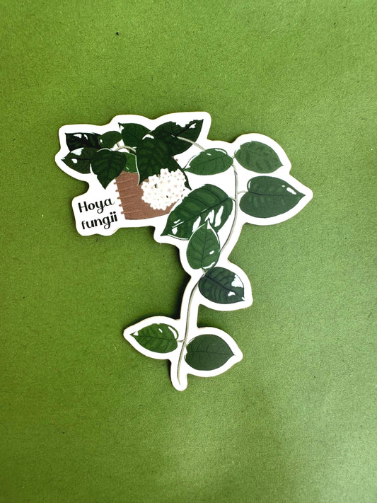 Hoya Fungii Plant Lover Sticker