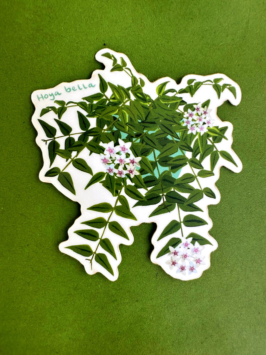 Hoya Bella Plant Lover Sticker